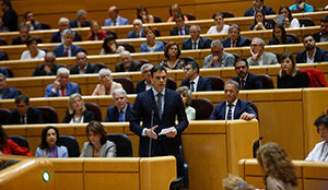 Pedro Sánchez en el Senado1