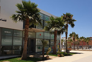 Cervantes Agadir-Biblioteca nuevo complejo