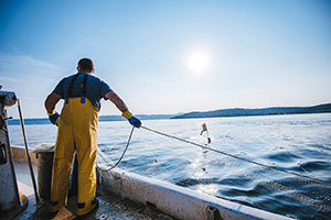 Fisherman putting the fishing net into the water. He is standing on his boat. Sun in back.