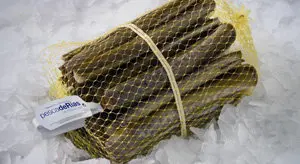 10.Etiquetado pescadeRias6