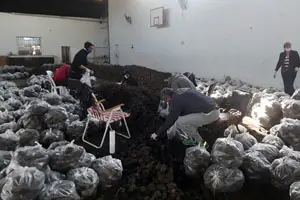 carhue_solidaria_28_5