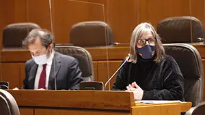 Parlamento de Aragón copia