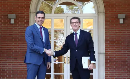Pedro Sanchez-Feijoo