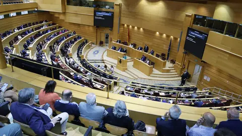 Debate Memoria Democratica 1