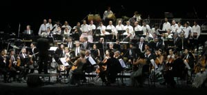 CONCIERTO LOS SABANDEÑOS 2013 4