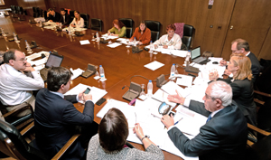 Comisión Permanente del CGCEE89
