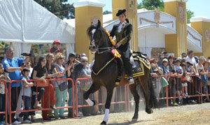 EXHIBICIÓN DOMA ECUESTRE CABALLOS ESPAÑOLES....