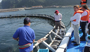 image_gallery-2