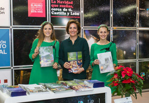 Campaña Navidad en Madrid04