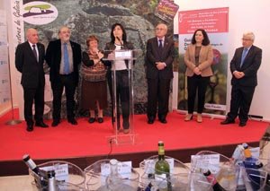 La conselleira interviniendo en la presentación