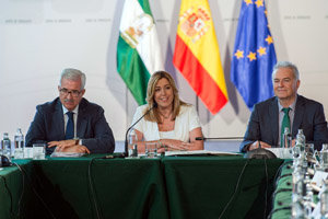 Susana Díaz presidió el acto de constitución del IX Consejo de Comunidades Andaluzas. Susana Díaz presidió el acto de constitución del IX Consejo de Comunidades Andaluzas.