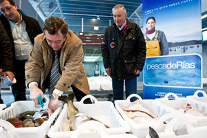 10.Etiquetado individual PescadeRias