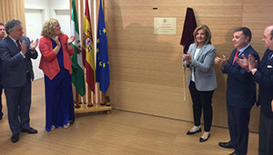 Bañez en Motril1