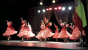 Actuación de baile en el evento de la Asociación Hispano Argentina de Santa Rosa. Actuación de baile en el evento de la Asociación Hispano Argentina de Santa Rosa.
