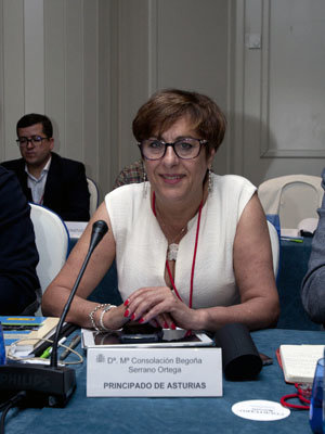 Begoña Serrano, durante el Pleno del Consejo General de la Ciudadanía Española en el Exterior. Begoña Serrano, durante el Pleno del Consejo General de la Ciudadanía Española en el Exterior.