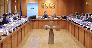 Un momento de la celerbación del Consello Galego de Cooperación para o Desenvolvemento. Un momento de la celerbación del Consello Galego de Cooperación para o Desenvolvemento.
