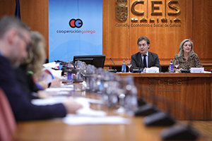Exteriores-Consello Cooperacion1