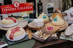 Catas Galicia 19-36