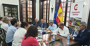 De Laiglesia durante la reunión con las ONG. De Laiglesia durante la reunión con las ONG.