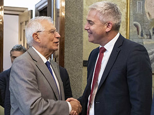 Borrell-ministro Brexit