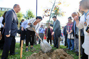 Los actos dieron comienzo con la plantación de un roble en el Parque Mesones.
