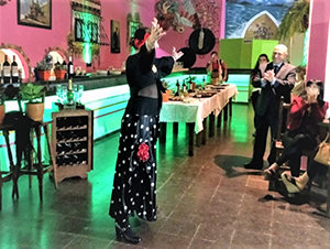 Espectáculo flamenco, durante la presentación formal de la Casa de España de Santiago de Estero.