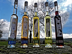 20.Aguardientes y licores