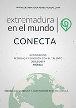 Cartel anunciador del encuentro 'Conecta 19'. Cartel anunciador del encuentro 'Conecta 19'.