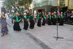 andaluz_bahia_peatonal_20_12_3