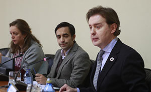 Gamallo-Parlamento