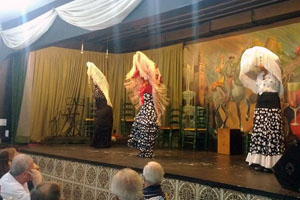 El espectáculo contó con variados bailes andaluces. El espectáculo contó con variados bailes andaluces.