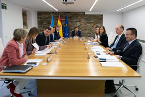O titular do Goberno galego, Alberto Núñez Feijóo, preside a reunión do Consello da Xunta. Pazo de Sergude, Boqueixón, 13/02/20.