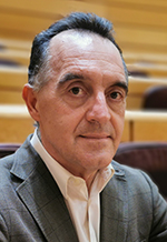 Senador PSOE Artemi Rallo