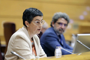 Laya en el Senado
