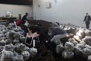 carhue_solidaria_28_5