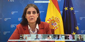 Un momento del encuentro virtual llevado a cabo.