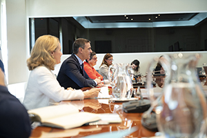 Reunión 2 P Sánchez