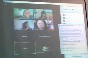 Algunas de las participantes en el seminario virtual.