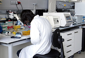 Las Unidades Mixtas de Investigación son un instrumento favorecedor de la cooperación.