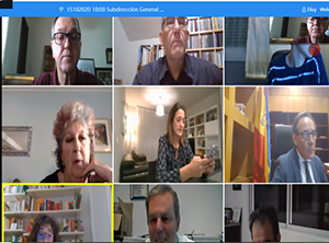 Un momento de la reunión telemática de la Comisión Permanente.
