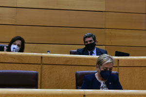 Escrivá en el Senado 1