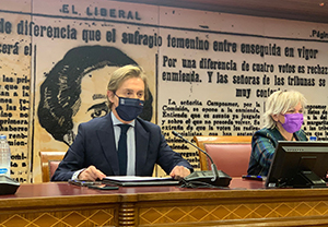 Gamallo-Comparecencia Senado1