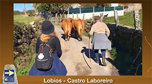 Fondos Culturais
