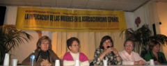  La mesa de inauguraci&oacute;n de las jornadas sobre &lsquo;La implicaci&oacute;n de las mujeres en el asociacionismo espa&ntilde;ol&rsquo;.