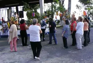 Los ‘ramalleiros’ buscan los ramos y faroles, típicos de la celebración de las fiestas en honor a la Virgen de la Encarnación.