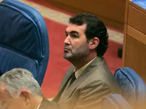 Quintana, durante la celebración del Pleno extraordinario.