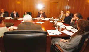 Consuelo Rum&iacute;, Agust&iacute;n Torres y Francisco Ruiz presidieron la reuni&oacute;n de la Comisi&oacute;n Permanente del CGCEE. 