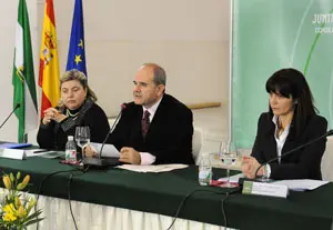  Manuel Chaves, durante su intervención en el pleno.
