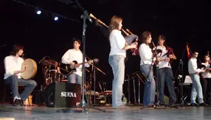  Un momento de la actuaci&oacute;n en el Centro Gallego.