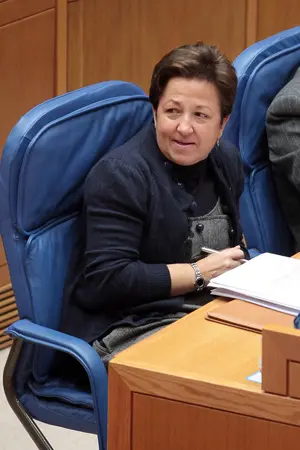  La conselleira de Sanidade, en el Pleno del Parlamento. 